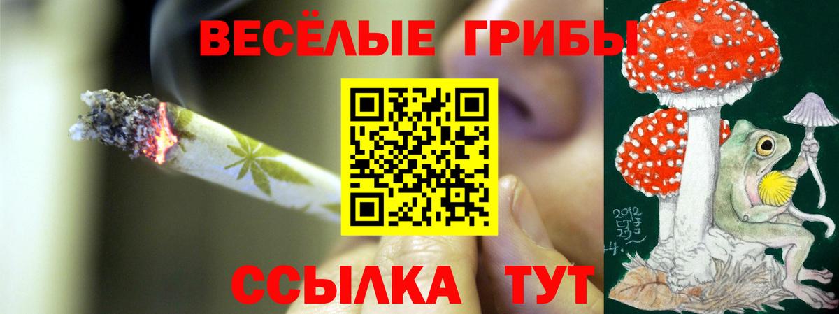 Галлюциногенные грибы Psilocybe  Вход с VPN  Галлюциногенные грибы MAGIC MUSHROOMS  Майкоп 